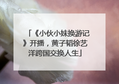 《小伙小妹换游记》开播，黄子韬徐艺洋跨国交换人生
