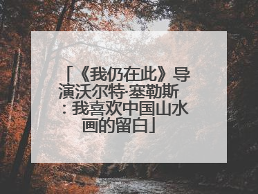 《我仍在此》导演沃尔特·塞勒斯：我喜欢中国山水画的留白