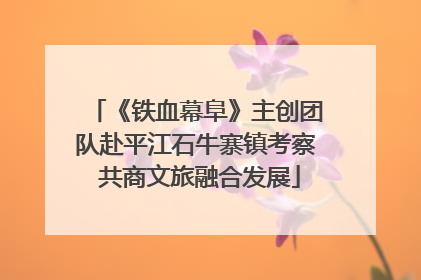 《铁血幕阜》主创团队赴平江石牛寨镇考察 共商文旅融合发展
