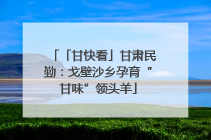 「甘快看」甘肃民勤：戈壁沙乡孕育“甘味”领头羊