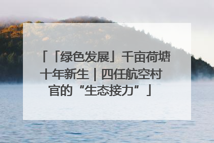 「绿色发展」千亩荷塘 十年新生｜四任航空村官的“生态接力”