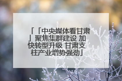 「中央媒体看甘肃」聚焦集群建设 加快转型升级 甘肃支柱产业增势强劲