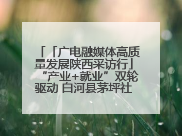 「广电融媒体高质量发展陕西采访行」“产业+就业”双轮驱动 白河县茅坪社区打造易地搬迁后扶新样本