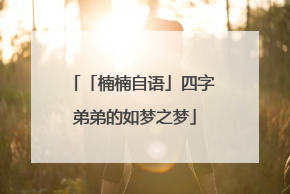 「楠楠自语」四字弟弟的如梦之梦
