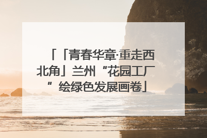 「青春华章·重走西北角」兰州“花园工厂”绘绿色发展画卷