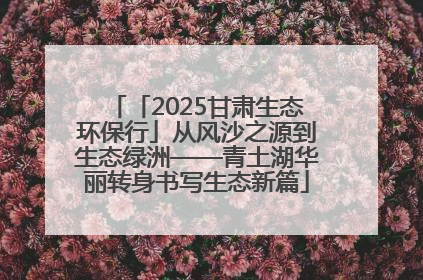 「2025甘肃生态环保行」从风沙之源到生态绿洲——青土湖华丽转身书写生态新篇