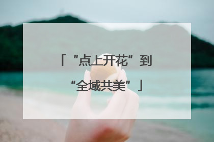 “点上开花”到“全域共美”