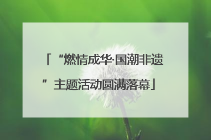 “燃情成华·国潮非遗”主题活动圆满落幕