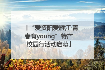 “爱资阳爱雁江·青春有young”特产校园行活动启幕