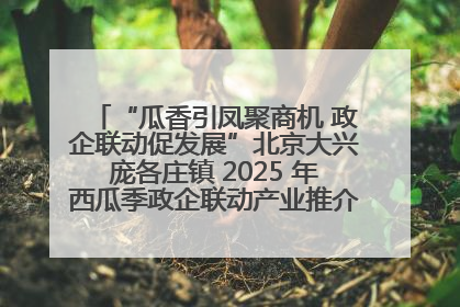“瓜香引凤聚商机 政企联动促发展”北京大兴庞各庄镇 2025 年西瓜季政企联动产业推介活动圆满举行