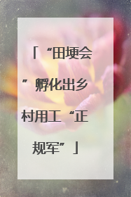 “田埂会”孵化出乡村用工“正规军”
