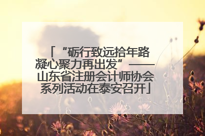 “砺行致远拾年路 凝心聚力再出发”——山东省注册会计师协会系列活动在泰安召开