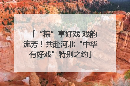 “粽”享好戏 戏韵流芳！共赴河北“中华有好戏”特别之约