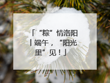 “粽”情洛阳丨端午，“阳光里”见！