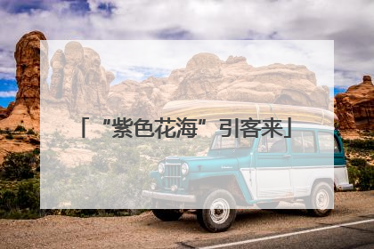 “紫色花海”引客来