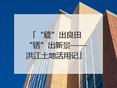 “缝”出良田 “锈”出新景——洪江土地活用记