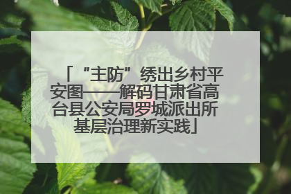 “主防”绣出乡村平安图——解码甘肃省高台县公安局罗城派出所基层治理新实践