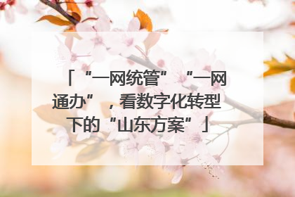 “一网统管”“一网通办”，看数字化转型下的“山东方案”