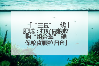 “三夏”一线丨肥城：打好夏粮收购“组合拳” 确保粮食颗粒归仓
