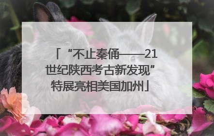“不止秦俑——21世纪陕西考古新发现”特展亮相美国加州
