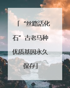 “丝路活化石”古老马种优质基因永久保存
