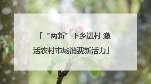 “两新”下乡进村 激活农村市场消费新活力