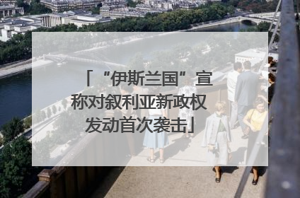 “伊斯兰国”宣称对叙利亚新政权发动首次袭击