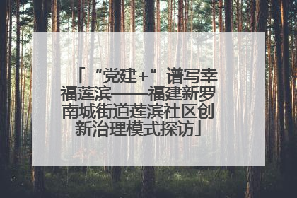 “党建+”谱写幸福莲滨——福建新罗南城街道莲滨社区创新治理模式探访