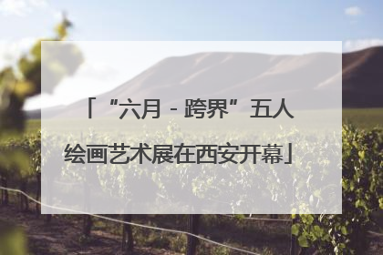 “六月 - 跨界”五人绘画艺术展在西安开幕