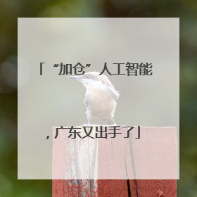 “加仓”人工智能，广东又出手了