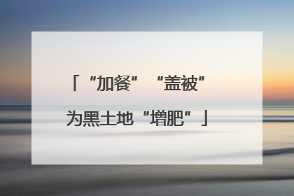 “加餐”“盖被” 为黑土地“增肥”