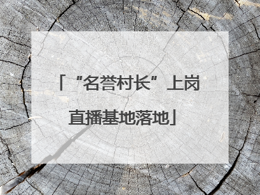 “名誉村长”上岗 直播基地落地