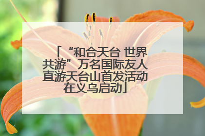 “和合天台 世界共游”万名国际友人直游天台山首发活动在义乌启动