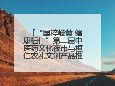 “国粹岐黄 健康桓仁”第二届中医药文化夜市与桓仁农礼文创产品推介会圆满举办