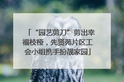 “园艺剪刀”剪出幸福枝桠，先贤苑片区工会小组携手扮靓家园