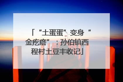 “土蛋蛋”变身“金疙瘩”：孙伯镇西程村土豆丰收记