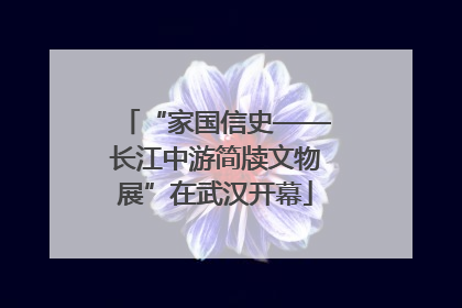 “家国信史——长江中游简牍文物展”在武汉开幕