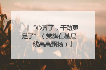 “心齐了，干劲更足了”（党旗在基层一线高高飘扬）