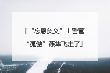 “忘恩负义”！警营“孤傲”燕隼飞走了