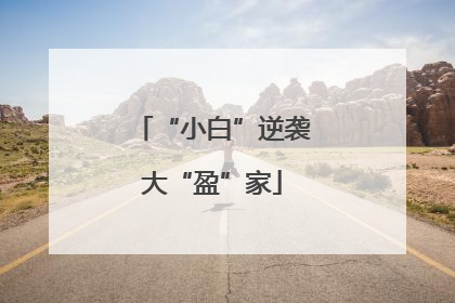 “小白”逆袭大“盈”家