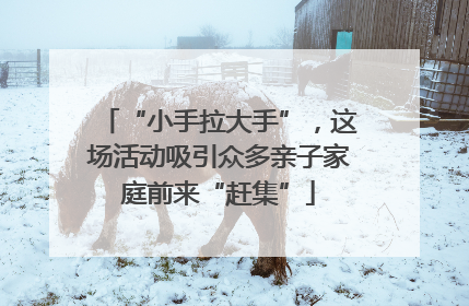 “小手拉大手”，这场活动吸引众多亲子家庭前来“赶集”