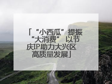 “小西瓜”提振“大消费” 以节庆IP助力大兴区高质量发展