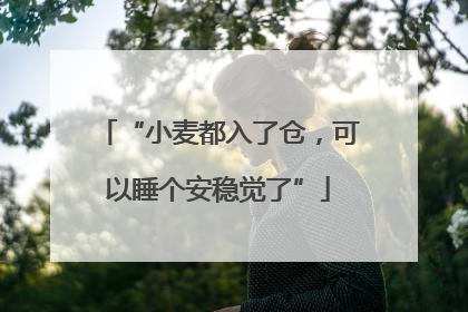 “小麦都入了仓，可以睡个安稳觉了”