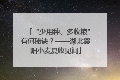“少用种、多收粮”有何秘诀？——湖北襄阳小麦夏收见闻