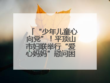 “少年儿童心向党”！平顶山市妇联举行“爱心妈妈”慰问困境儿童活动
