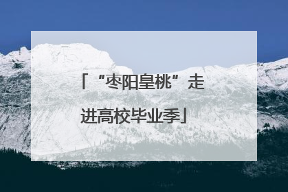 “枣阳皇桃”走进高校毕业季