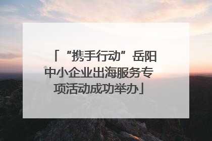 “携手行动”岳阳中小企业出海服务专项活动成功举办