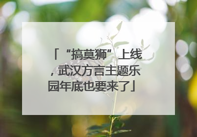 “搞莫狮”上线，武汉方言主题乐园年底也要来了