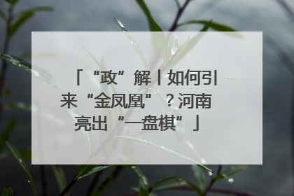 “政”解丨如何引来“金凤凰”？河南亮出“一盘棋”