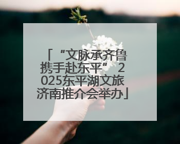 “文脉承齐鲁 携手赴东平” 2025东平湖文旅济南推介会举办